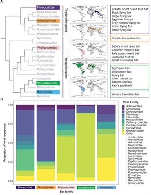 Bat humoral immunity and its role in viral pathogenesis, transmission, and zoonosis